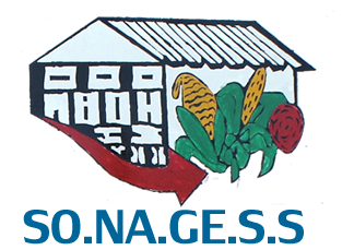 image31.png